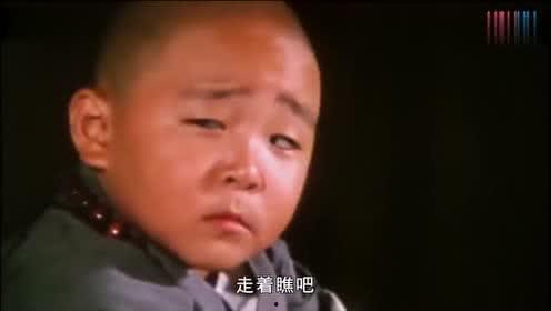 郝劭文搞笑表情包,童颜巨星能量满满，笑点爆棚！